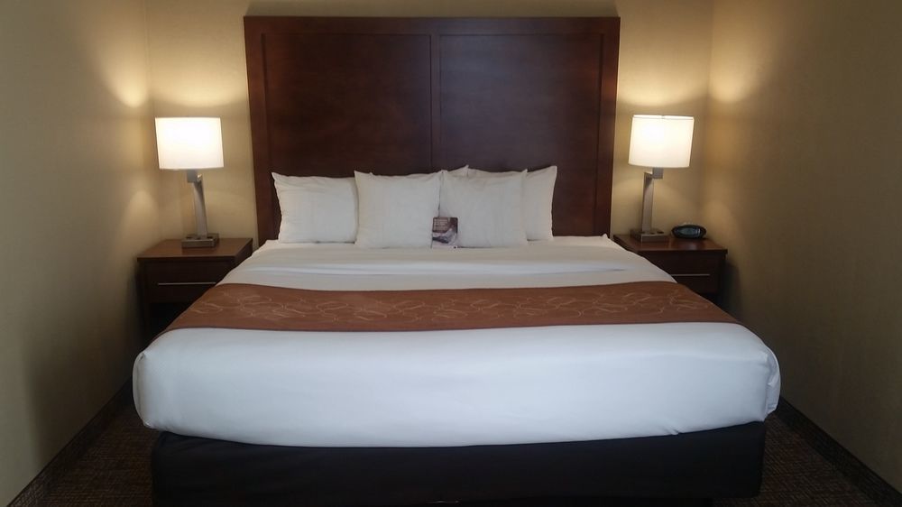 Comfort Suites Baymeadows Near Butler Blvd Джексонвілл Екстер'єр фото
